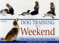 Dog training in a weekend