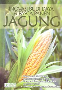 Inovasi budi daya & pasca panen jagung