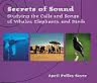 Secrets of sound: studying the calls and songs of whales, elephants, and birds