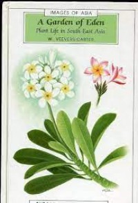 Images of Asia: a garden of Eden plant life in South-East Asia