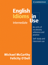 English idioms in use